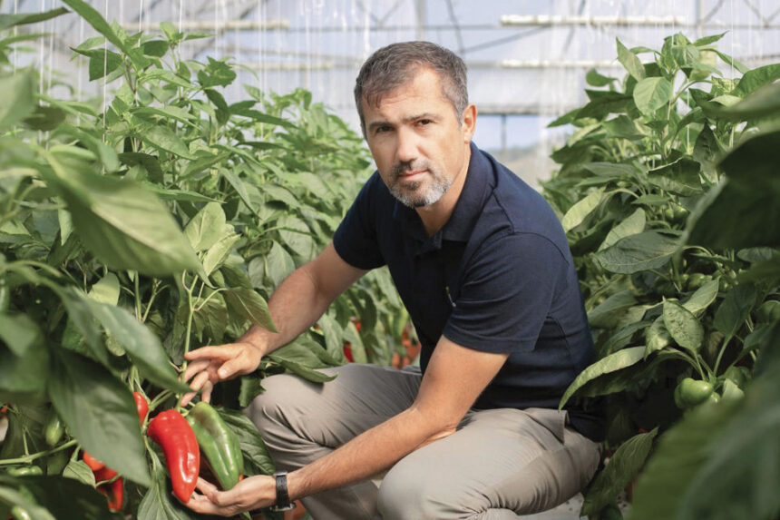 12-levente-szell ZF Agropower: Vânzarea merelor, o provocare din cauza dumpingului polonez. Livada Meraria vizează procesarea pentru a crește valoarea produselor