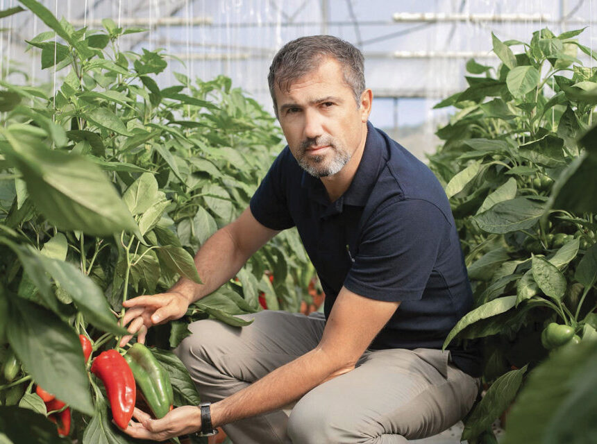 ZF Agropower: Vânzarea merelor, o provocare din cauza dumpingului polonez. Livada Meraria vizează procesarea pentru a crește valoarea produselor