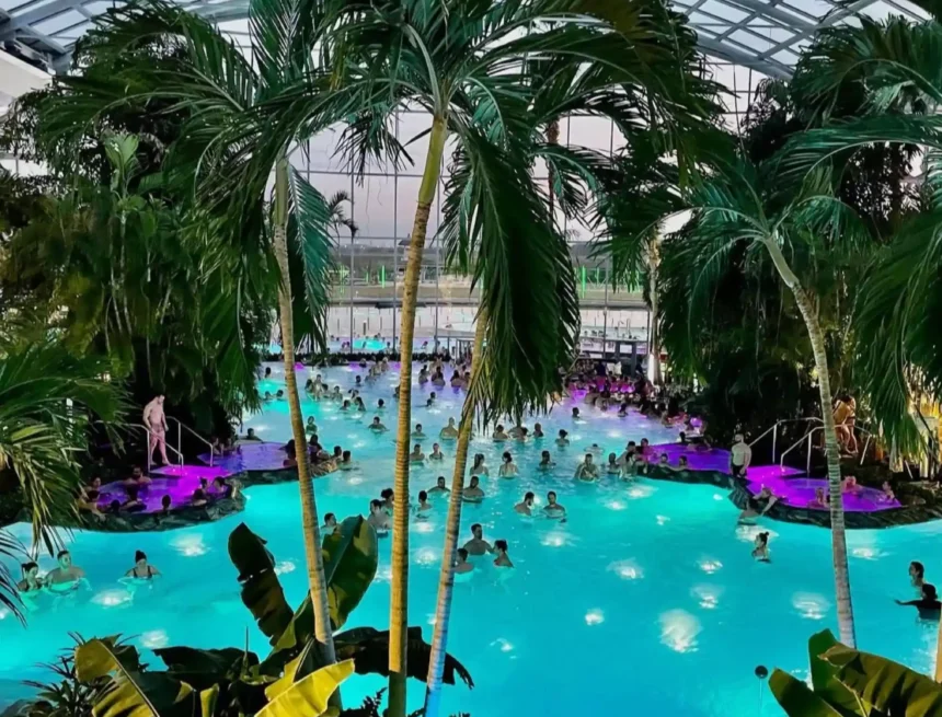 Therme Group, liderul pieței românești de wellness: afaceri de 60 de milioane de euro și un joint-venture de 1 miliard de euro cu gigantul CVC