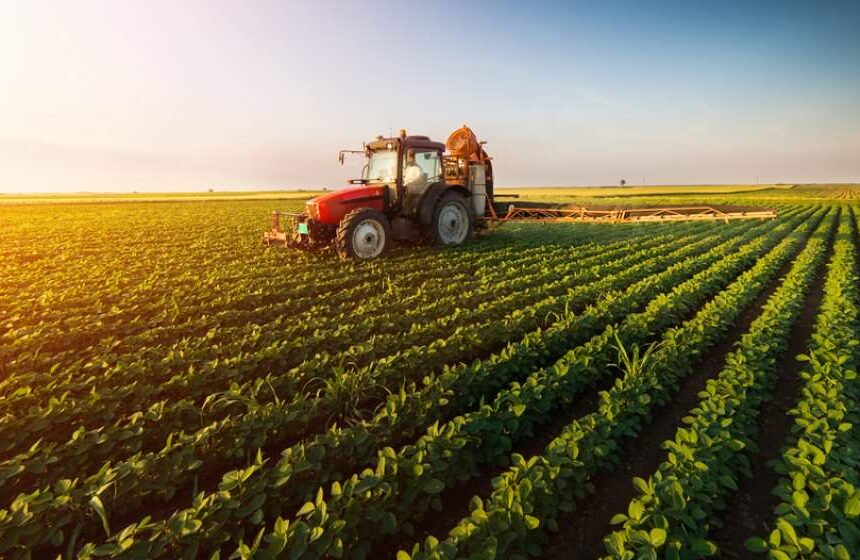 De ce rămân giganţii comerţului cu cereale în România, în ciuda marjelor reduse sau chiar a pierderilor