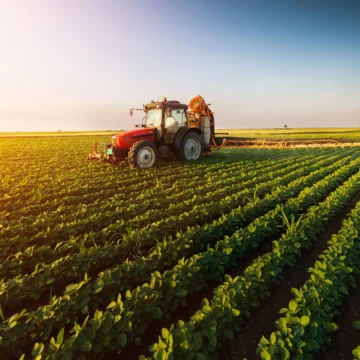 shutterstock_653708227-scaled-1.jpg TradeVille: Agricultura românească prinde avânt în 2025, după ani dificili. Agroland și DN Agrar anunță planuri ambițioase de dezvoltare