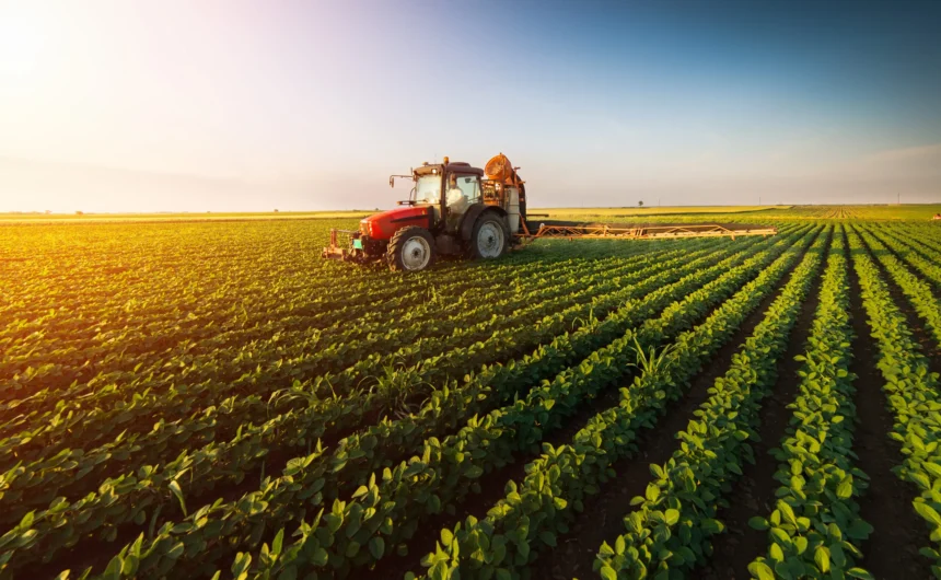 shutterstock_653708227-scaled-1.jpg TradeVille: Agricultura românească prinde avânt în 2025, după ani dificili. Agroland și DN Agrar anunță planuri ambițioase de dezvoltare