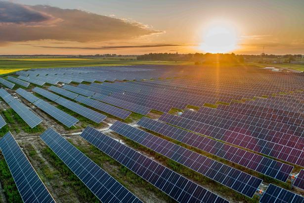 image-of-solar-plants-2 Electrica și Romgaz dezvoltă proiecte verzi de până la 400 MW