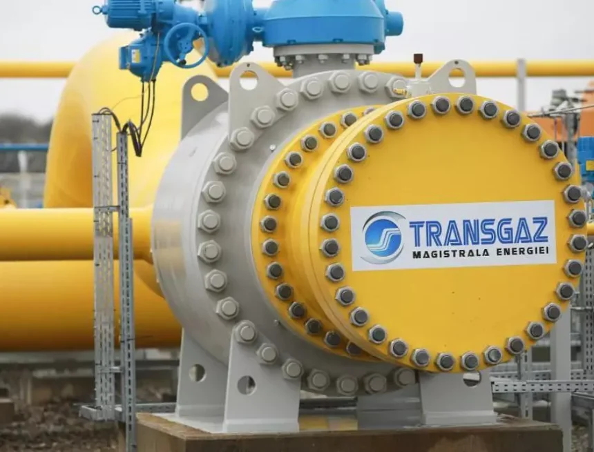 Transgaz prelungește mandatul lui Nicolae Minea cu un an