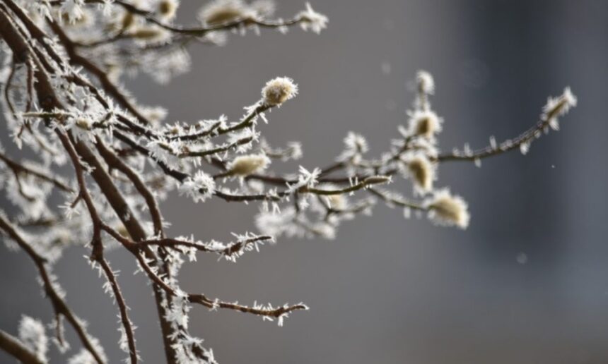 iarna-meteo-vremea-alba24-1000x600 Anunț meteo: vremea se încălzește începând din 5 ianuarie în toate regiunile