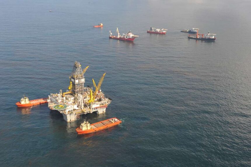 Excepții pentru forajele petroliere în Golful Mexic: protecția speciilor pe cale de dispariție ignorată