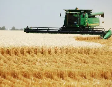 Terenurile agricole din România, tot mai lucrate de investitori străini