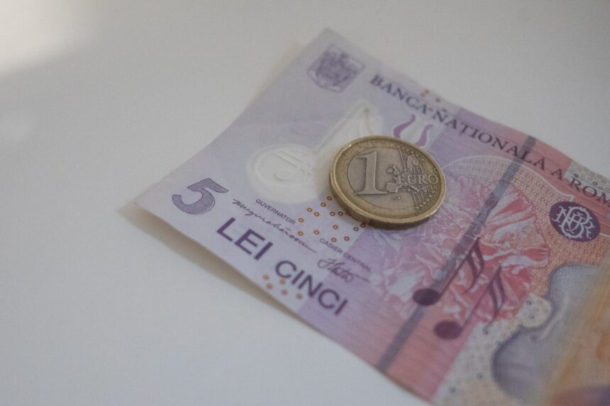Euro pierde din nou teren în fața leului. Cursul anunțat de BNR scade la 5,2052 lei